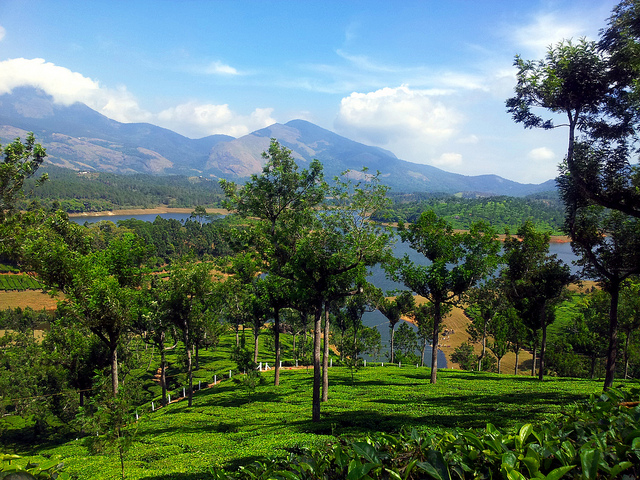 Munnar