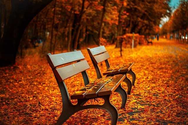 Park Bench