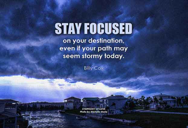 Stay Focussed